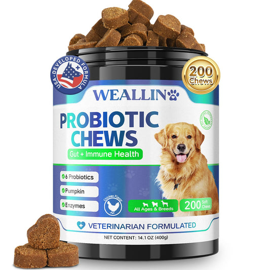 200 PCS Probiotics for Dogs - Dog Probiotic Chews for Gut Health, Digestive Support & Itchy Skin Relief Pet Diarrhea Gas Treatment - Probiotics, Digestive Enzymes, Prebiotics, Pumpkin